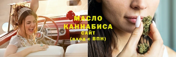 винт Мегион