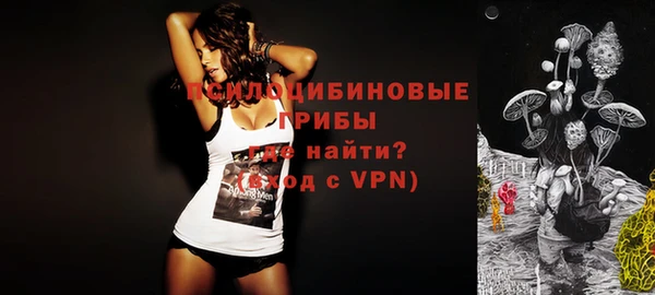 индика Апатиты