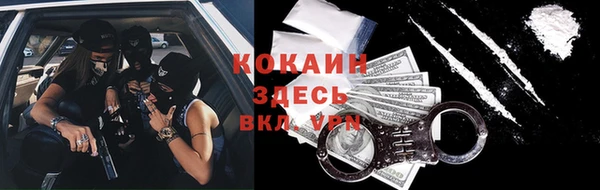 ешки Медногорск