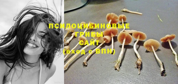 винт Мегион