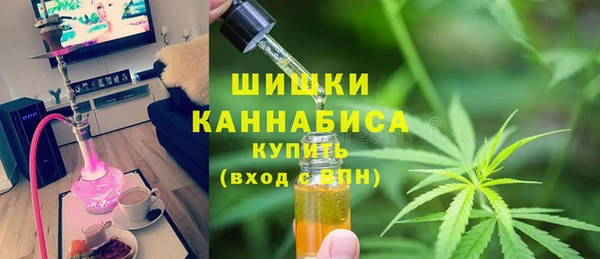 ешки Медногорск