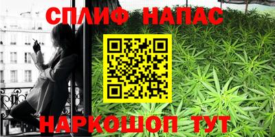 прущие грибы Гай