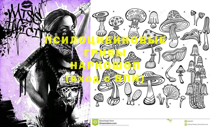 Псилоцибиновые грибы MAGIC MUSHROOMS  Карабулак 